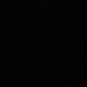 Meet your Posher, Cora